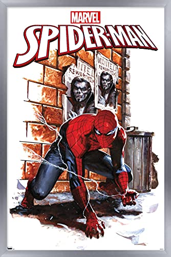 Silver Framed Version