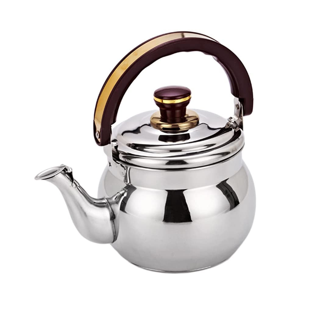 Stainless Steel Whistling Tea Kettle 1.0L - Mini Tea Pot with Heat-Resistant PP Handle for Kitchen, Dining, Camping & Outdoor Use (Silver)