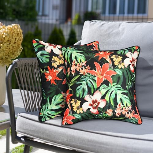 Tropical Plants
