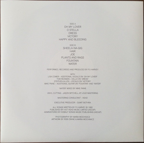 PJ Harvey - Dry Demos LP Vinyl Record Album Reissue Near Mint (NM/M) - Limited Edition Collectible for Music Enthusiasts & Vinyl Lovers