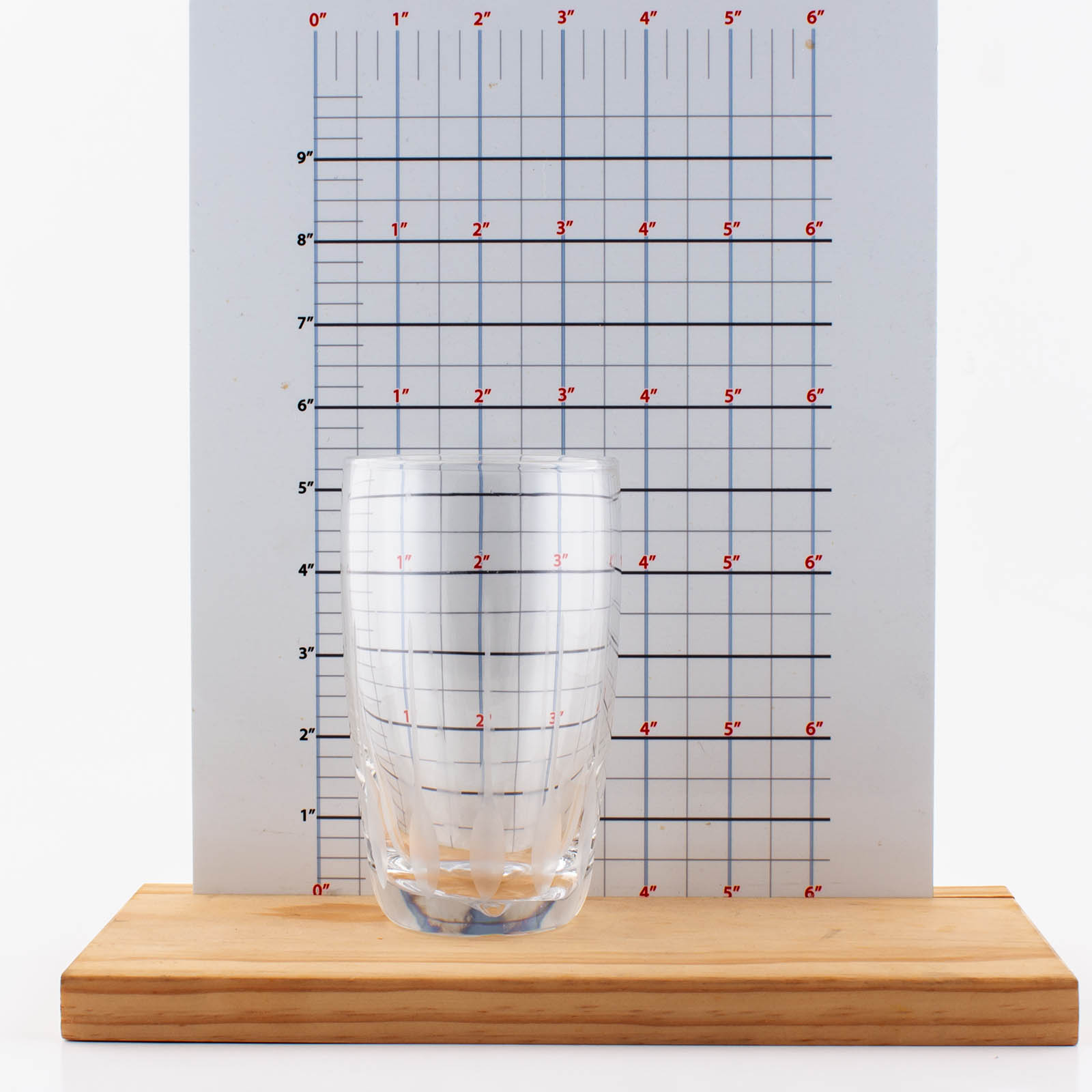 BarConic® 16 oz Feather Etched Glass - Elegant Drinking Glass for Cocktails, Whiskey, Wine & Beer - Perfect for Home Bars, Parties & Gifts