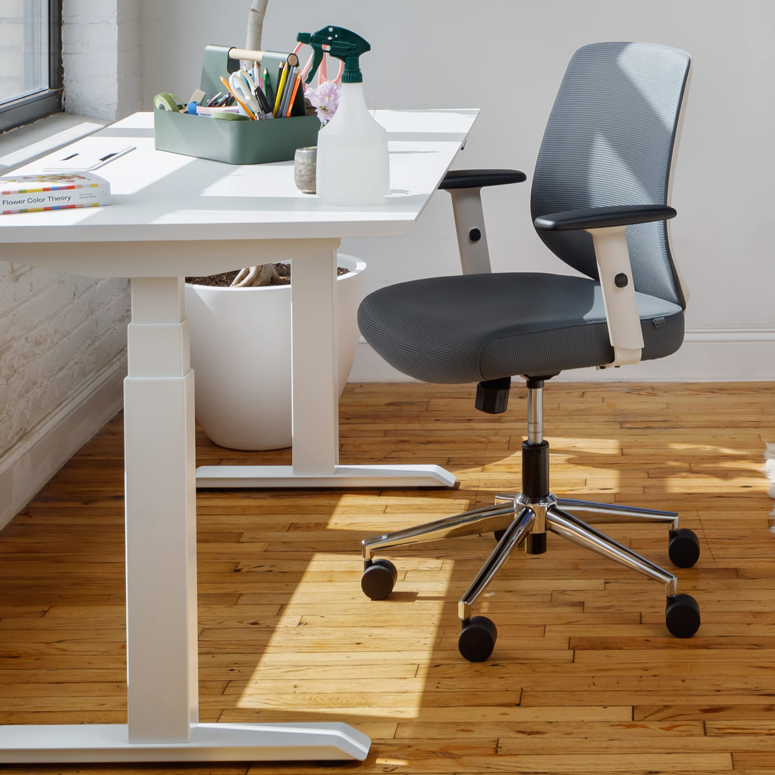 Ergonomic Mesh Office Chair with Adjustable Lumbar Support & Swivel Base - Branch Daily Computer Desk Chair for Home & Office - Breathable Backrest, Height-Adjustable Armrests - Sustainable Design for All-Day Comfort - Perfect for Remote Work, Gaming & Study Sessions