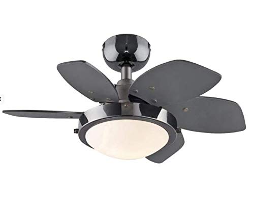 24 Inch Small Ceiling Fan with Light - 2 Pack, Quince Indoor Ceiling Fan in Gun Metal Finish, Reversible Black/Graphite Blades, LED Light Fixture with Opal Frosted Glass - Perfect for Bedroom, Living Room, and Office Spaces