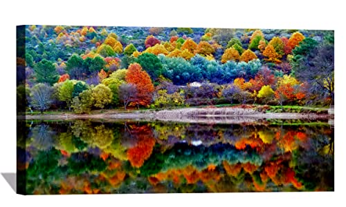 Autumn Scenery