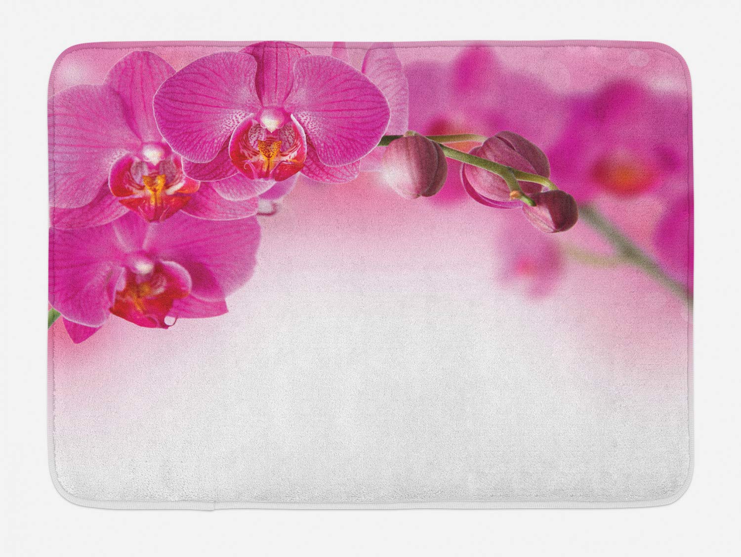 Ambesonne Non-Slip Plush Bath Mat - Blossoming Orchid Branch Design, Exotic Nature & Feng Shui Elements, 30.2