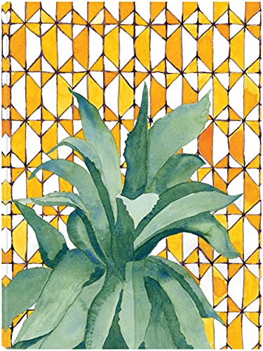 Yellow Tile Agave