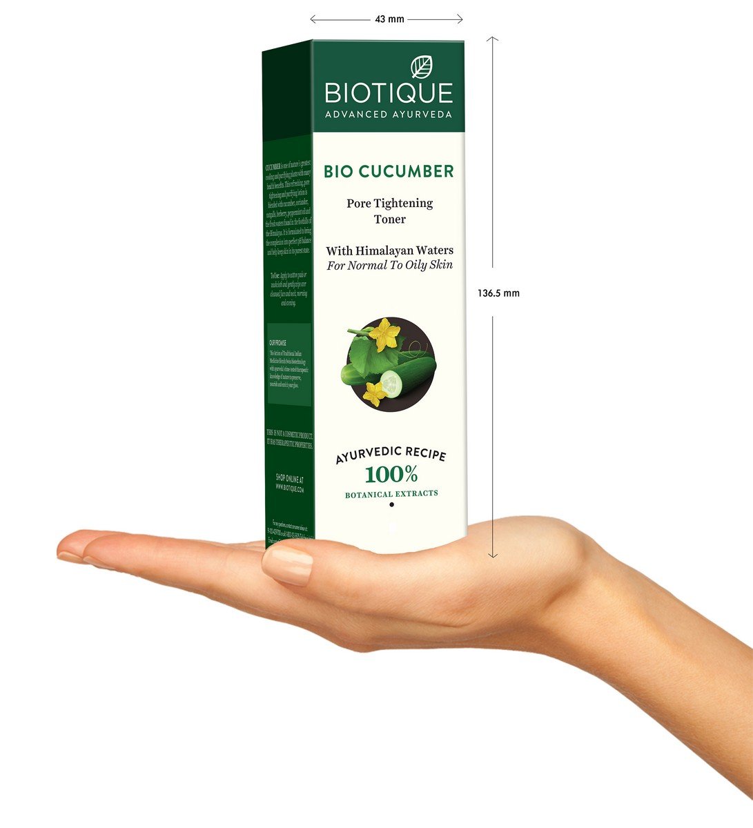 Biotique Bio Fruit Whitening Lip Balm 12g & Bio Cucumber Pore Tightening Toner 120ml - Natural Skincare Set for Dry Lips & Oily Skin | Perfect for Daily Beauty Routine & Travel Skincare