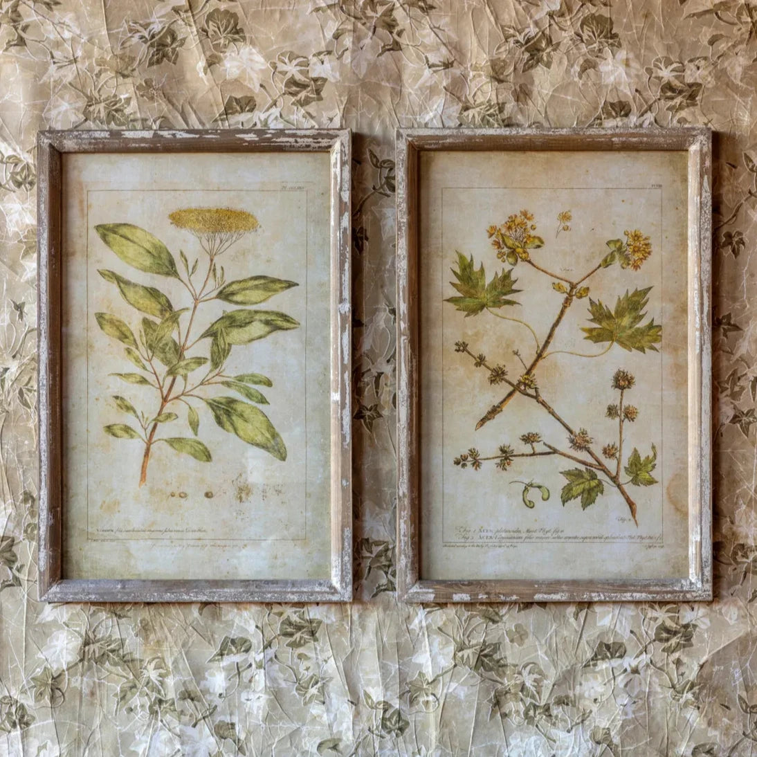 Botanical Print Set - Vintage Floral Wall Art Decor for Living Room, Bedroom & Office - Perfect for Home & Office Decoration