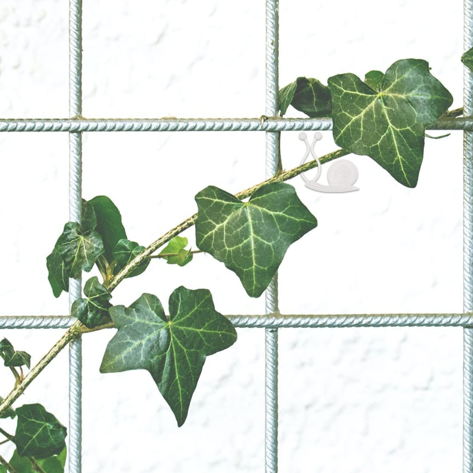 GANAZONO 20pcs Garden Plant Support Clips - Heavy Duty Plant Adhesive Hooks for Vines, Climbing Plants on Smooth Walls - Perfect for Indoor/Outdoor Gardening, Greenhouses & Vertical Gardens