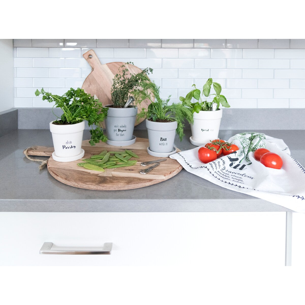Shiraleah Basil Tov Planter - Modern Ceramic Herb Planter for Indoor Plants, Kitchen Garden, Windowsill Decor - Perfect for Growing Basil, Mint, and Small Herbs at Home