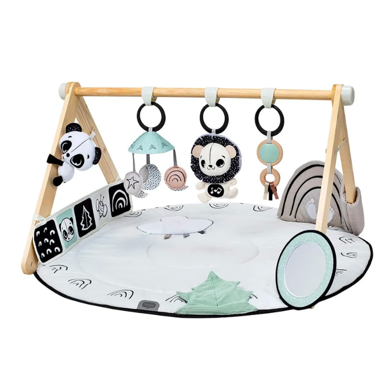 Black and White Baby Play Mat - Premium Developmental Gymini for Newborns & Infants - Perfect for Tummy Time, Sensory Play, and Early Learning at Home or Daycare