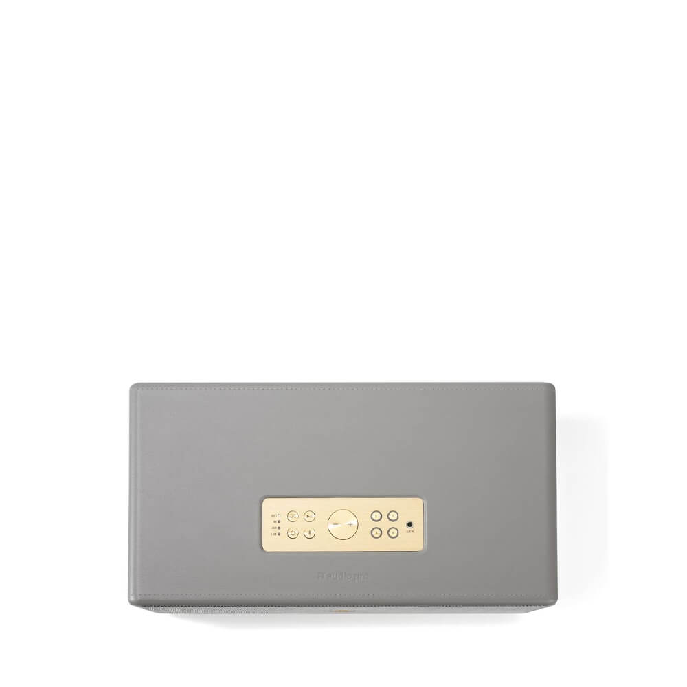 Audio Pro D1 Wireless Multiroom Speaker - Premium Sound Quality, Bluetooth Connectivity, Dusk Grey Finish | Perfect for Home Audio, Parties & Office Use