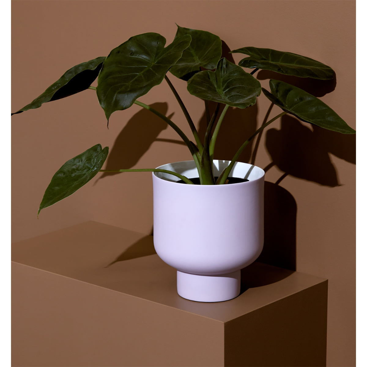 Fergus Planter Medium Size - Indoor/Outdoor Flower Pot with Drainage Holes - Perfect for Home Garden, Patio, Balcony & Office Decor
