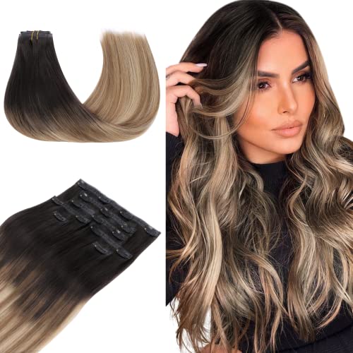#2/6/18 Dark Brown to Chestnut Brown and Dirty Blonde Highlighted