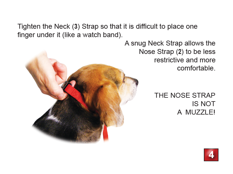 Gentle Leader Headcollar - No-Pull Dog Training Collar for Large & Small Dogs | Perfect for Walking, Training & Behavioral Control