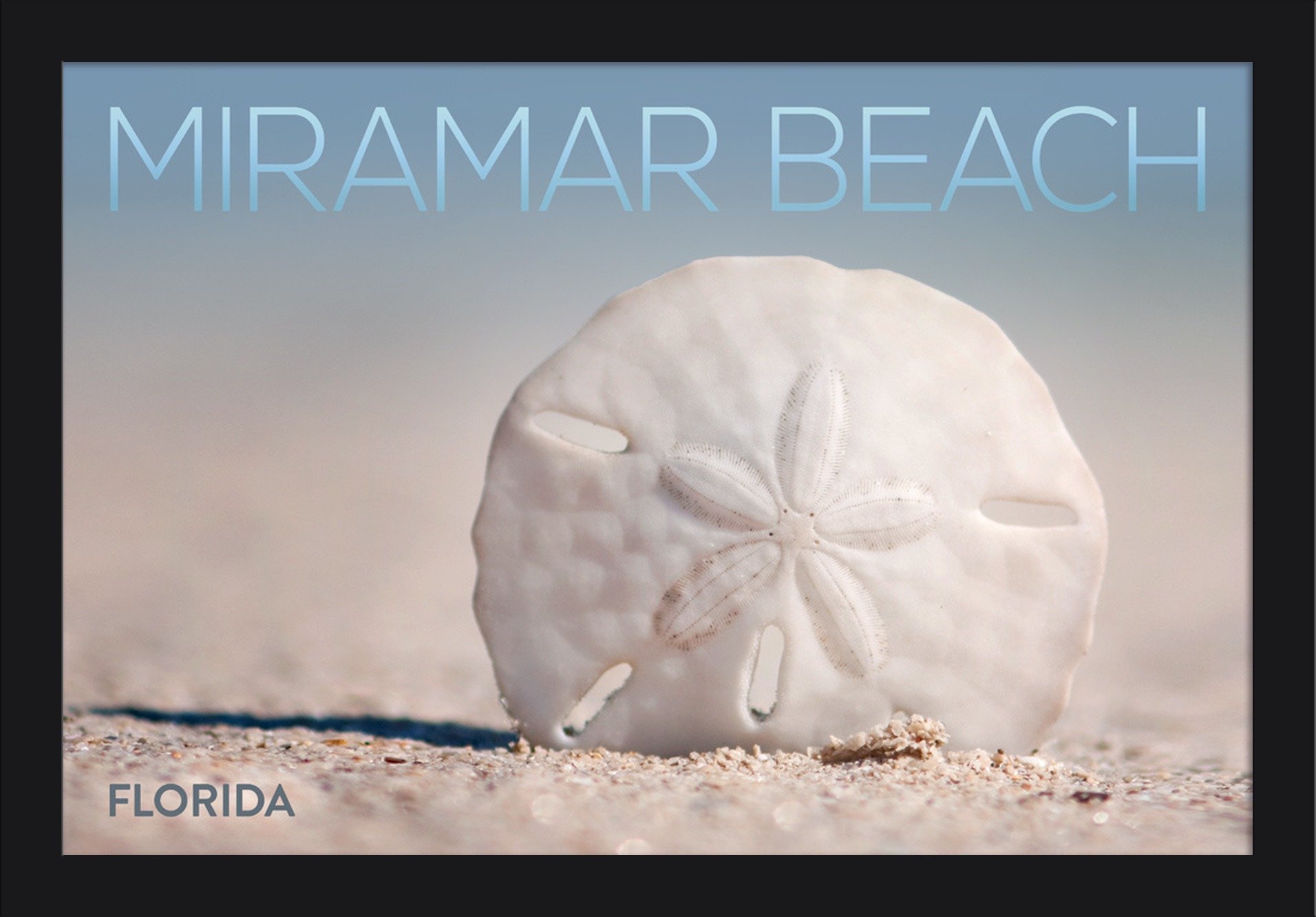 16x24 Giclee Fine Art Print of Sand Dollar on Miramar Beach Florida - Recycled Wood Frame in Black - Perfect for Coastal Decor, Beach House Wall Art & Ocean Theme Living Room