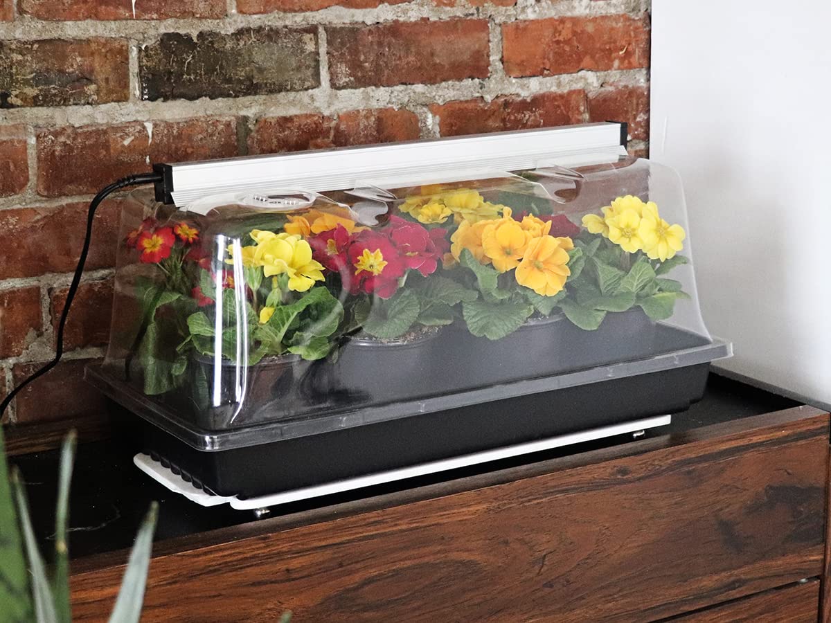 SunBlaster SL1600227 Mini Greenhouse Kit with Stand - Indoor/Outdoor Plant Growing, Seed Starter, Herb Garden for Home, Patio & Balcony