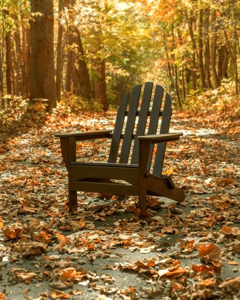 Polywood Classic Folding Adirondack Chair - Durable Outdoor Furniture for Patio, Poolside & Garden Relaxation - Weather-Resistant Recycled Plastic Material