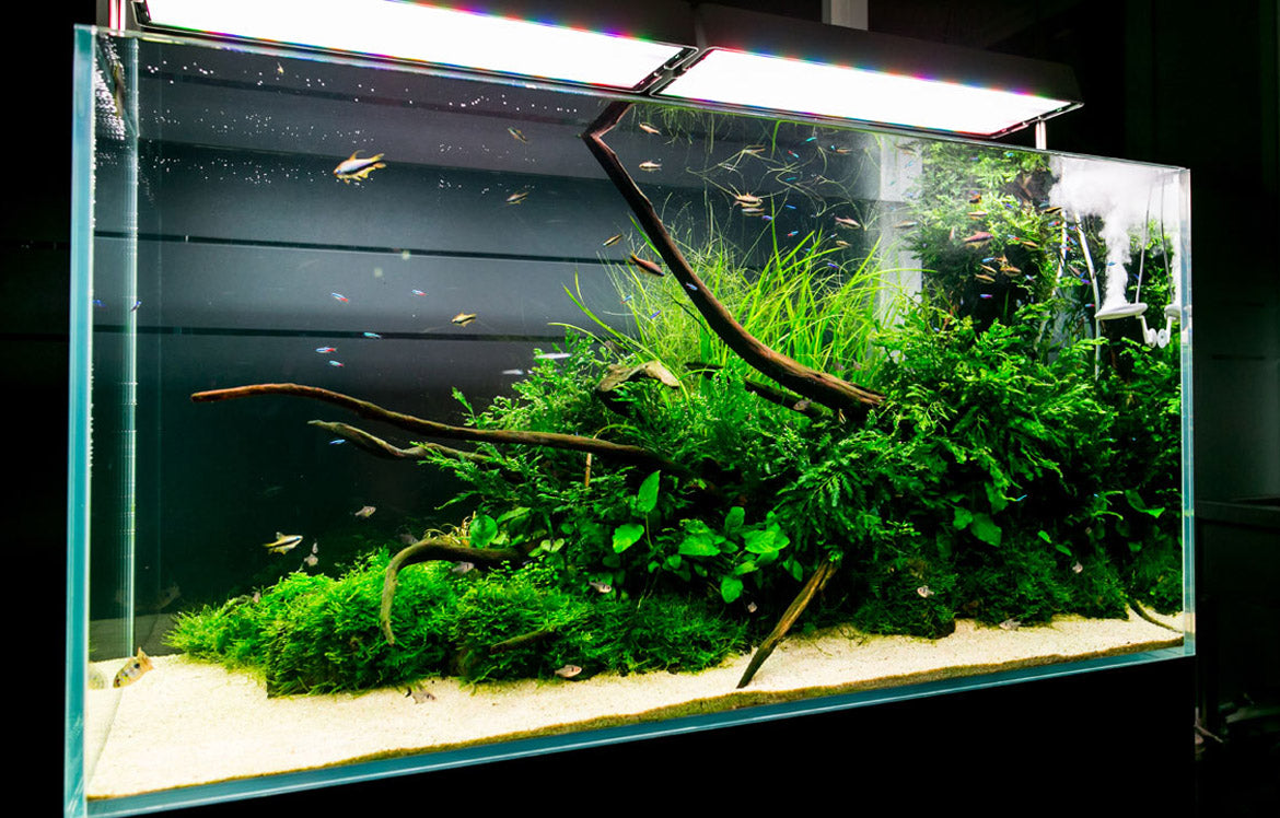 Aquario Neo Soil - Premium Planted Aquarium Substrate for Healthy Aquatic Plants | Ideal for Shrimp Tanks, Nano Aquariums & Planted Aquascapes