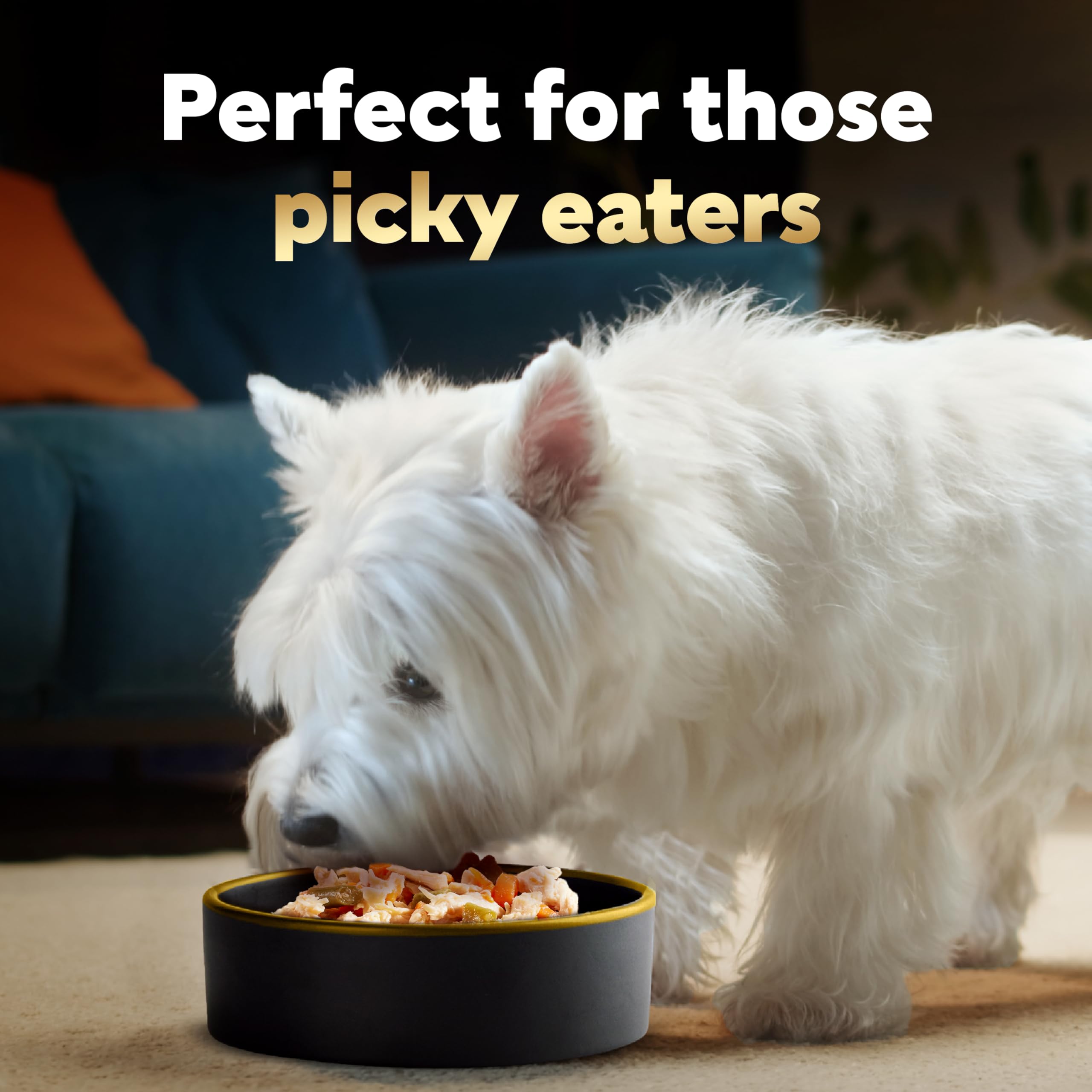 Premium Cesar Wet Dog Food Multipack - Grain-Free Chicken & Beef Recipe, 40 Count (1.3 oz Trays) | Tender Bites for Small & Medium Dogs | Perfect for Travel, Training & Mealtime Toppers