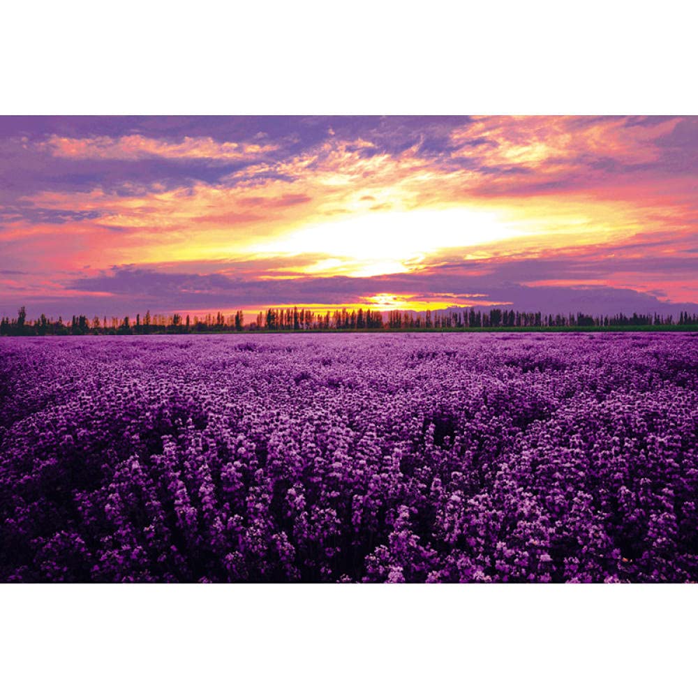500-Piece Lavender Flower Field Jigsaw Puzzle - High-Resolution Print, Eco-Friendly Recyclable Material | Perfect for Family Game Night, Stress Relief & Home Decor