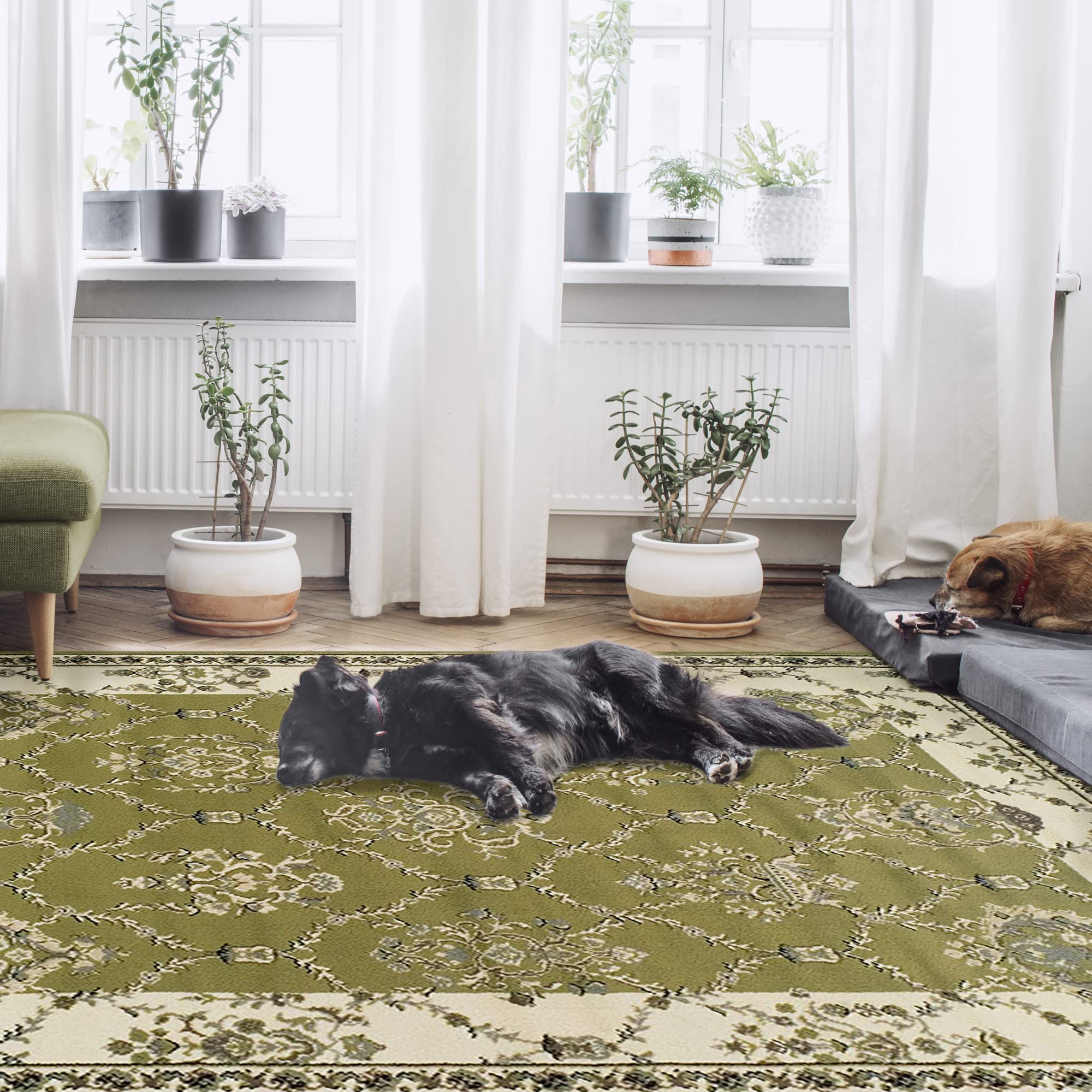BlueNileMills Stratton 5' x 8' Area Rug - Soft Modern Living Room Carpet for Home Decor, Bedroom, Office & Dorm