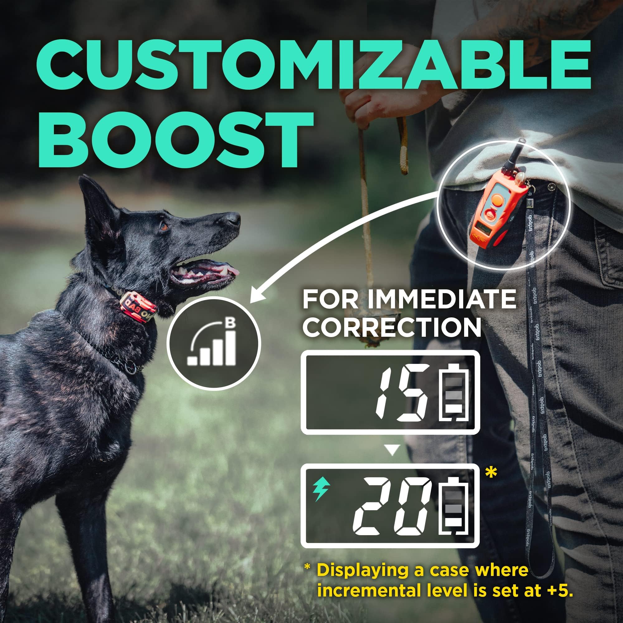 Dogtra 280C Rechargeable Waterproof Dog Training Collar with Remote - 0.80KM Range for Medium to Large Dogs | Perfect for Outdoor Training, Hunting & Obedience Classes | Boost N’ Bungee Technology | No Bad Dogs System