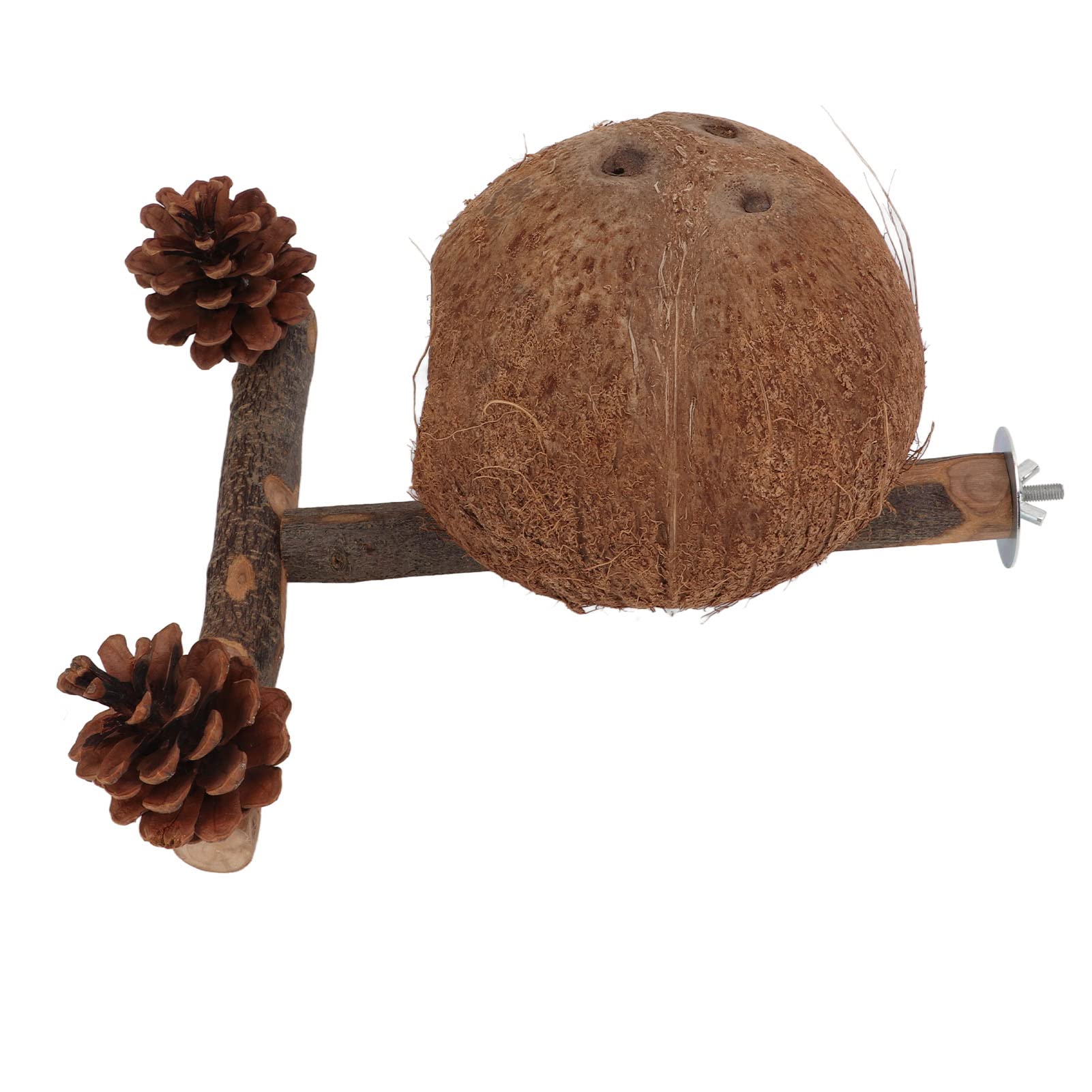 **Shanrya Natural Coconut Bird Hut - Safe Pine Cones Chew Toy for Parrots, Parakeets & Lovebirds | Durable Claw Grinding & Biting Resistant Hideout | Cage Decoration & Bird Entertainment | Ideal for Playtime, Foraging & Stress Relief | Perfect for Small Birds' Play, Rest & Mental Stimulation | Great for Bird Cages, Aviaries & Play Gyms**