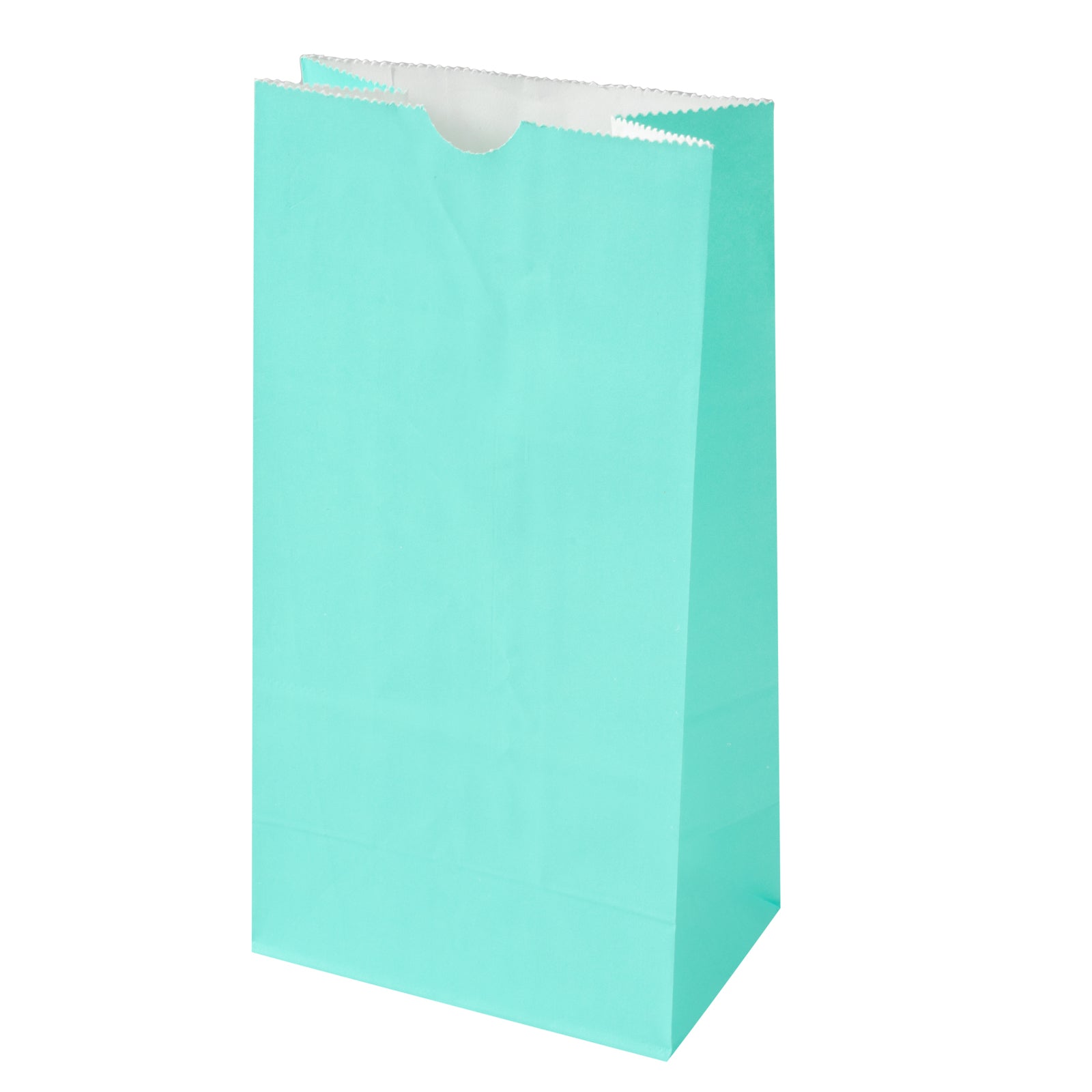 Premium Turquoise Paper Bags - 4 lb Capacity, 5 x 3.25 x 9.5 Inches - Pack of 100 - Perfect for Gift Wrapping, Party Favors & Retail Packaging