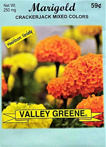 Marigold - Crackerjack