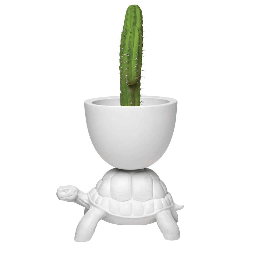 Qeeboo Turtle-Shaped Planter & Champagne Cooler - Unique Home Decor & Party Accessory for Indoor/Outdoor Use