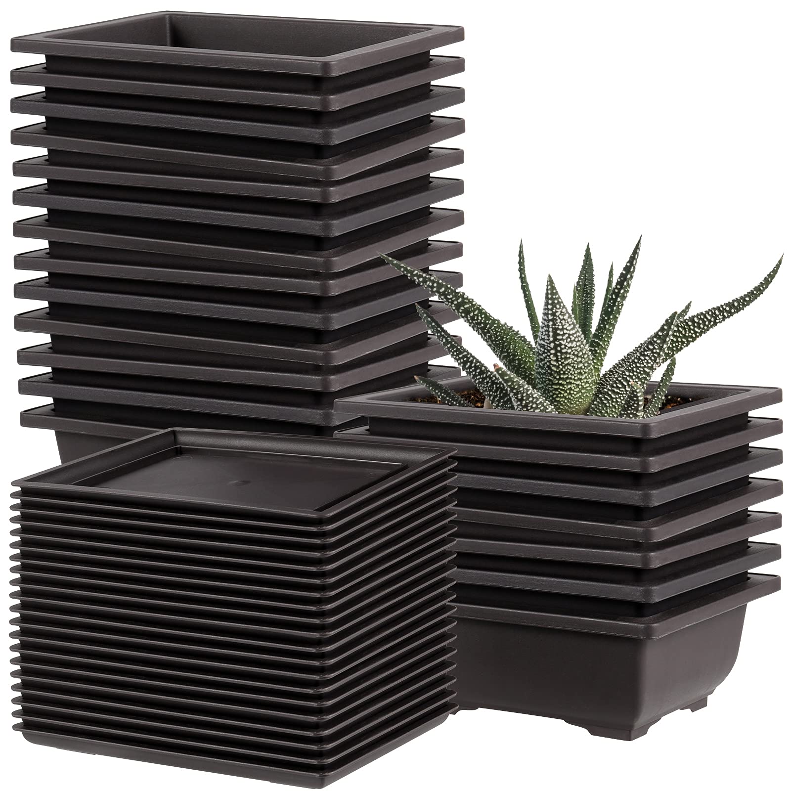 20 Pack 6.5 Inch Plastic Bonsai Training Pots with Drainage Holes & 20 Matching Trays - Black Rectangular Plant Containers for Bonsai Trees, Succulents, Herbs & Indoor Gardening