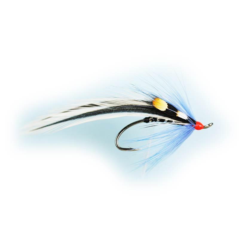 Caledonia Blue Elver Single Fly Fishing Lure - Premium Trout & Salmon Fly for Fly Fishing Enthusiasts | Perfect for Freshwater Streams & Rivers