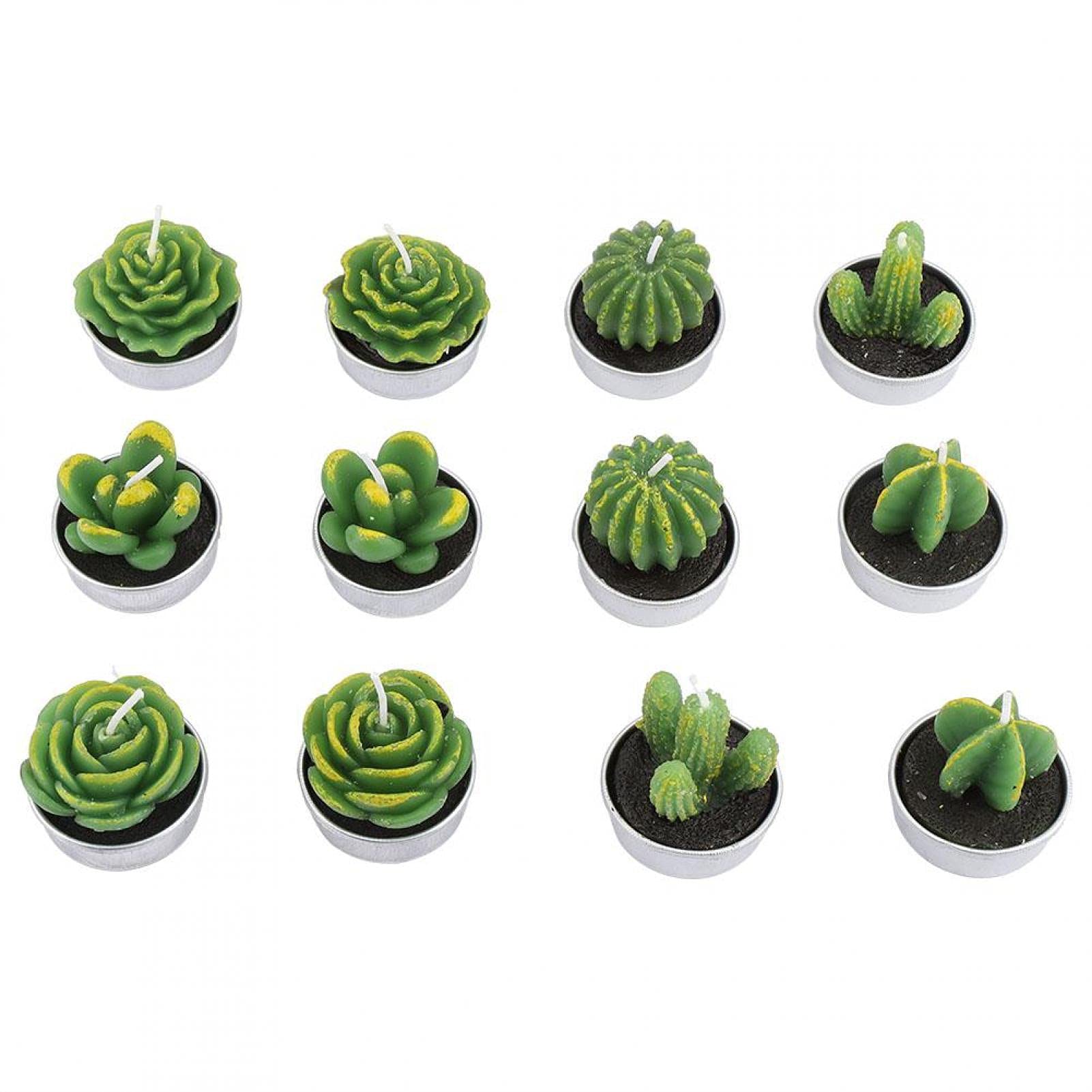 A Flameless Romance: The Story of Emma and Her Mini Cactus Tealight Candles