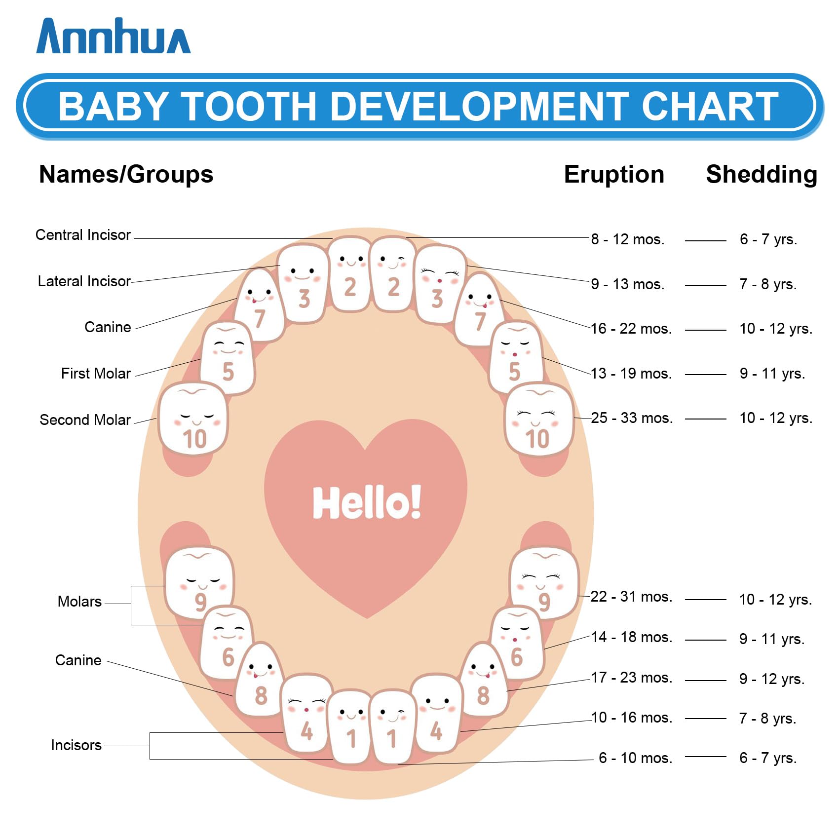 AnnHua Wooden Tooth Fairy Box for Boys - Baby Tooth Keepsake Storage for 20 Milk Teeth, Umbilical Cord & Fetal Hair with Memory Book - Perfect Baby Shower Gift & Childhood Memory Preservation