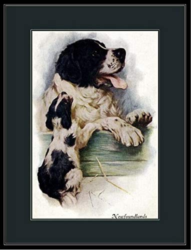 TYmall 1000 Piece Jigsaw Puzzle for Kids & Adults - Newfoundland Mother Dog Puppy Vintage Art Picture - Educational Family Entertainment Toy | Perfect for Birthday Gifts, Classroom Activities & Family Game Night