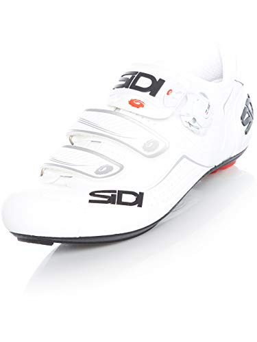 Wht/Wht