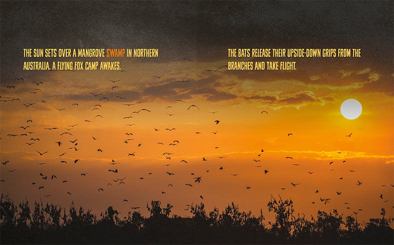 Flying Foxes Book - ISBN 9781640261181 - Perfect for Wildlife Enthusiasts & Nature Lovers