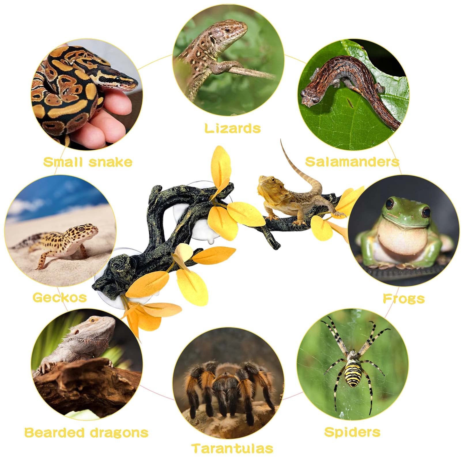 Kathson Reptile Climbing Branch - Natural Wood Terrarium Decor with Suction Cups for Lizards, Bearded Dragons, Geckos, Snakes & Frogs | Perfect for Climbing, Perching & Habitat Enrichment (Yellow)