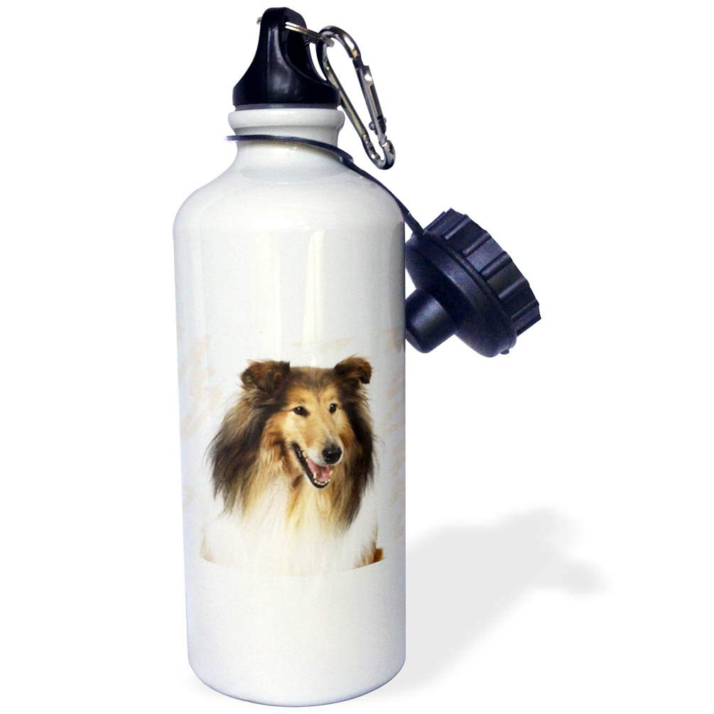 3D Printed Rough Collie Portrait Sports Water Bottle - 21oz Insulated Stainless Steel Water Bottle with Leakproof Lid - Perfect for Gym, Hiking & Outdoor Activities