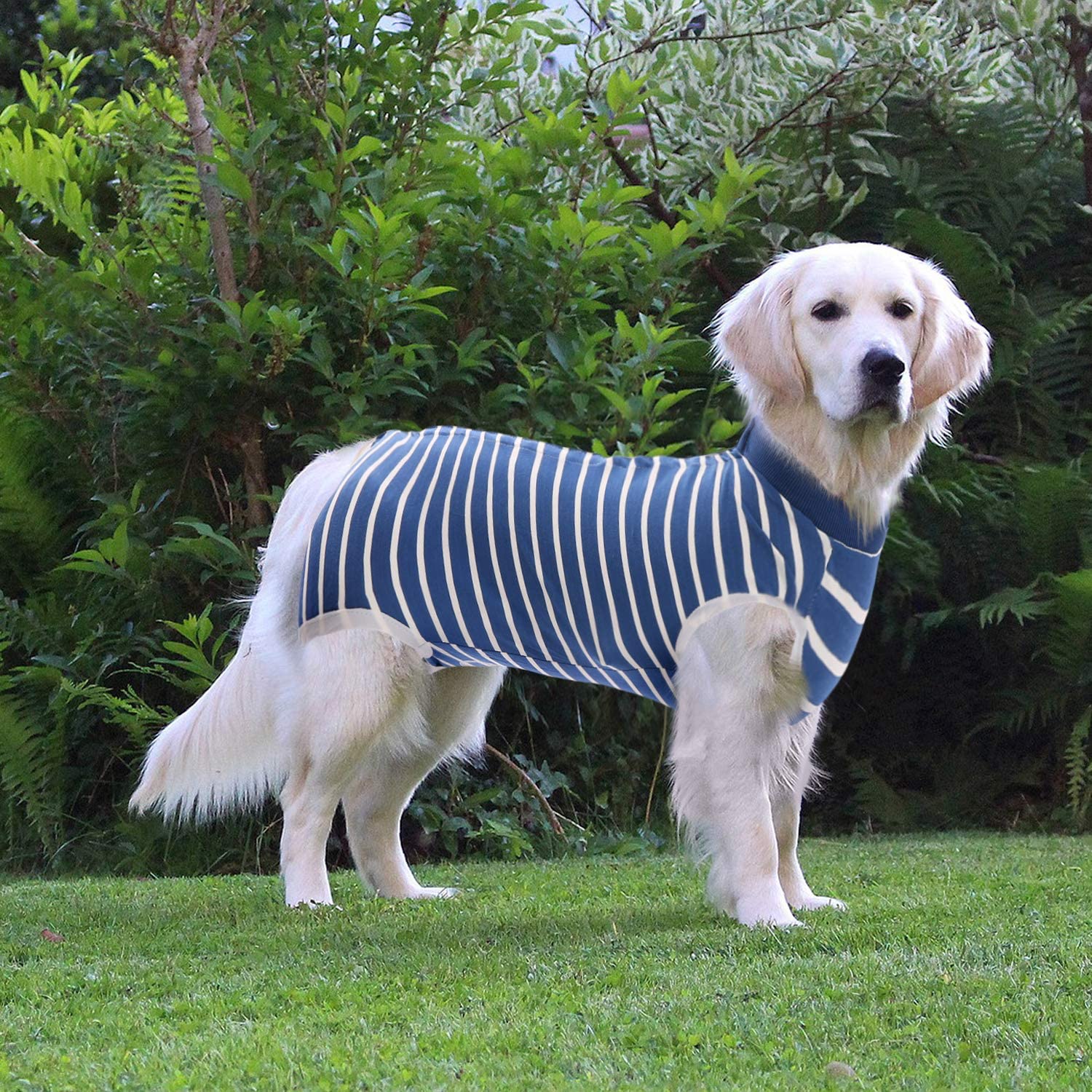 SAWMONG Dog Recovery Suit - Post-Surgery Surgical Suit for Dogs, Soft Pet Onesie Alternative to E-Collar Cone - Blue, X-Small - Perfect for Spay/Neuter Recovery & Wound Protection