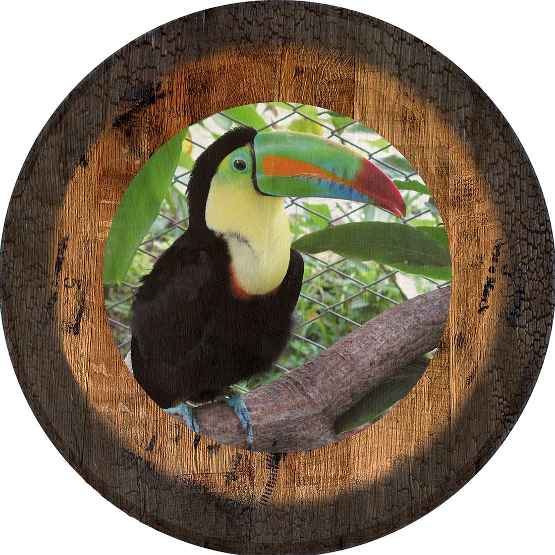 PS Prints Tropical Toucan Beach Wall Art - Large Oak Whiskey Barrel Lid Decor for Coastal, Tiki Bar & Home Decoration