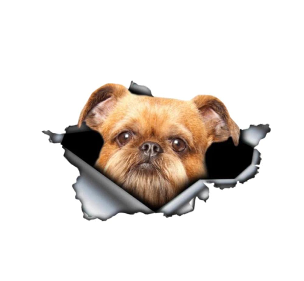 Funny 3D Brussels Griffon Dog Car Stickers - 13Cm Waterproof PVC Decal for Cars & Motorcycles | Perfect for Pet Lovers, Window Decor & Vehicle Personalization