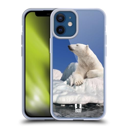 Polar Bear On Ice