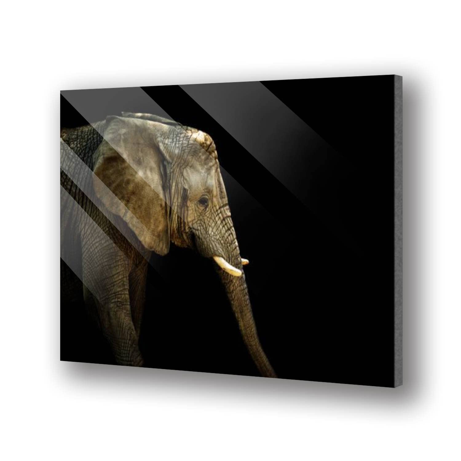 XEAJPJMGBQ Modern African Elephant Acrylic Glass Wall Art - Black Tempered Acrylic Picture Print for Home & Office Decor - Perfect for Living Room, Bedroom, or Office Accent Wall - Free Floating Design