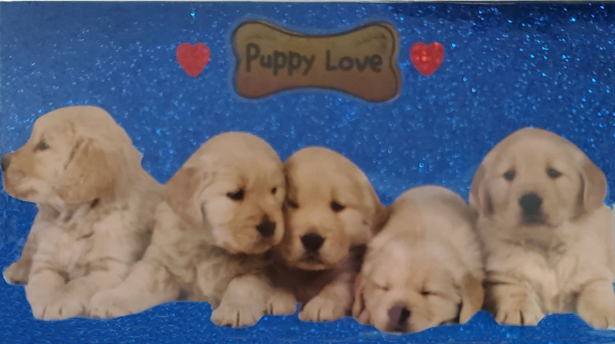 2023-2025 3-Year Pocket Planner with Notepad - Cute Blue Lab Puppy Design | Compact Monthly Calendar for Students, Professionals & Organizing | Perfect for School, Office & Travel Planning