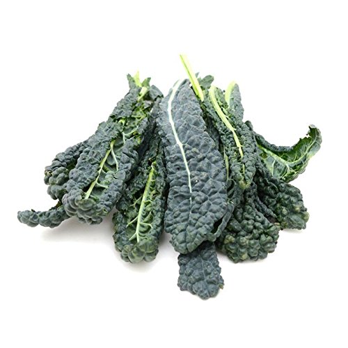 Organic Lacinato Kale Seeds for Planting - 500+ Heirloom Non-GMO Seeds (Brassica oleracea) | Perfect for Home Gardening, Urban Farming & Healthy Cooking | Great Gift for Gardeners