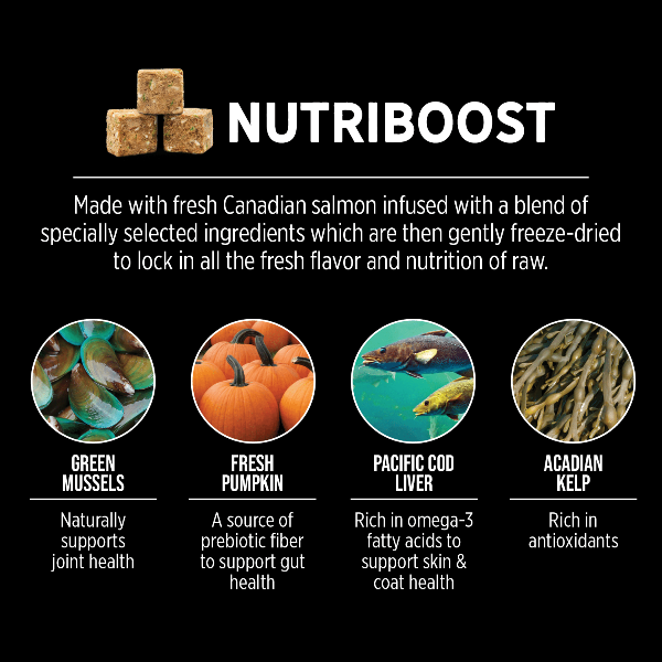 Nutrience SubZero Canadian Pacific High Protein Dry Cat Food - Premium Grain-Free Nutrition for Active Cats - Ideal for Indoor & Outdoor Cats