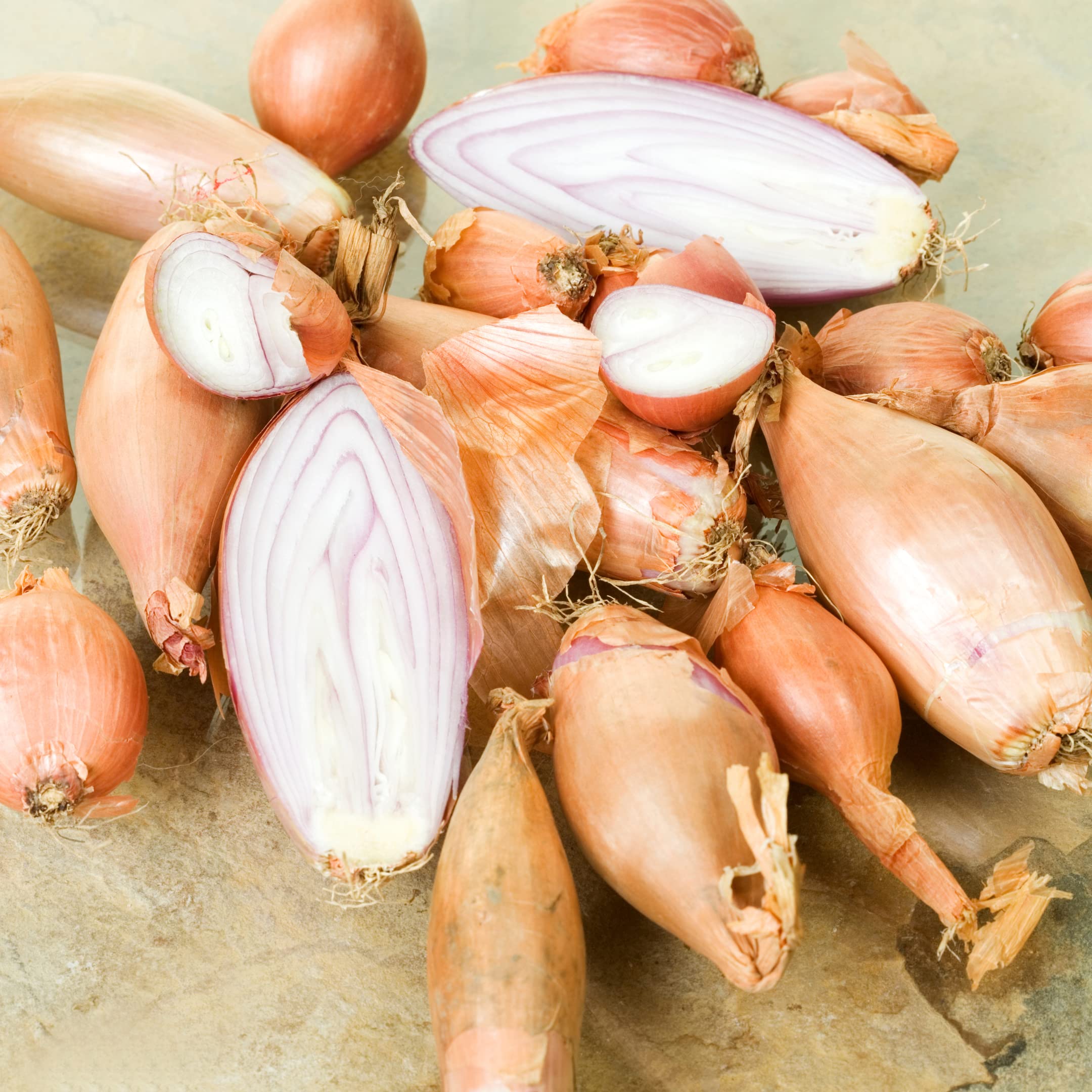 Park Seed Zebrune Shallot Onion Seeds - Pack of 200, Easy to Grow, Non-GMO, Spring Planting for Home Gardens & Container Gardening - Perfect for Soups, Salads & French Cuisine