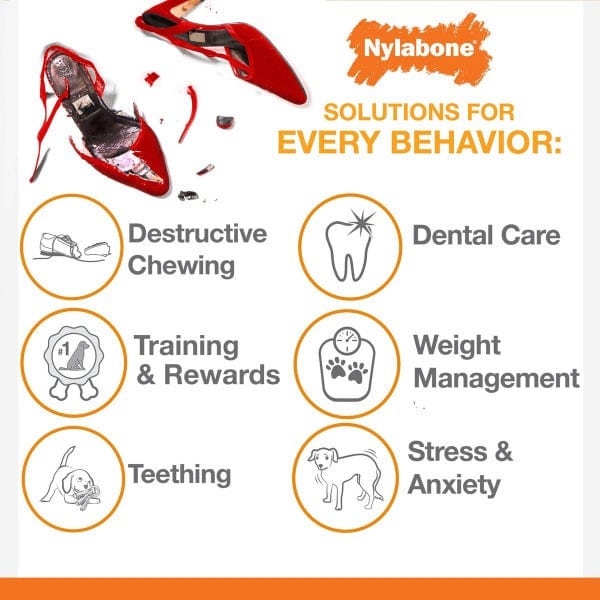 Nylabone Power Chew Durable Dinosaur Dog Toy for Aggressive Chewers - Promotes Dental Health & Teeth Cleaning for Large Breed Dogs - Perfect for Playtime & Training Rewards